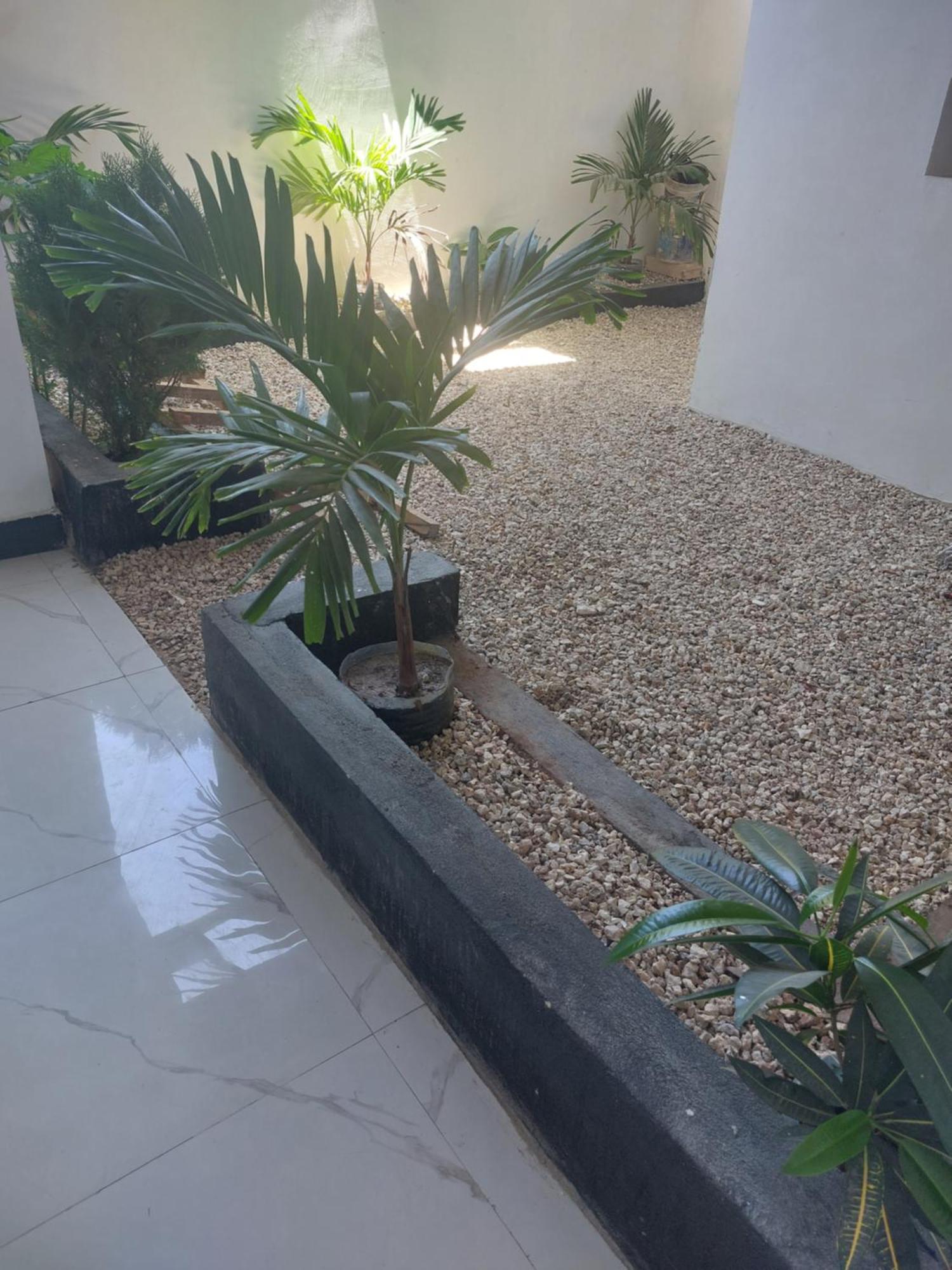 Zansi Beach House Nungwi Dış mekan fotoğraf